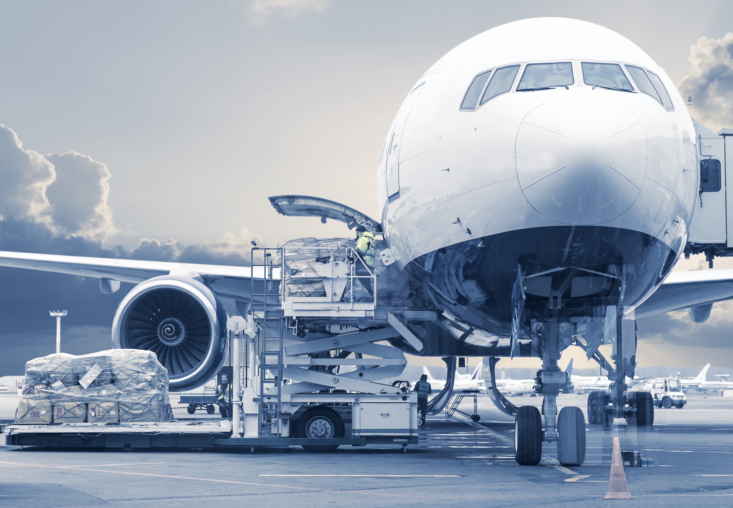 Air cargo industry TIACA guidelines